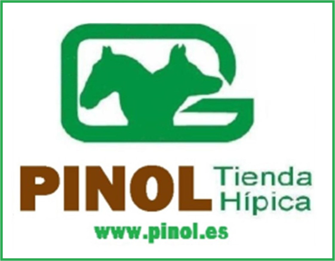 Pinol Logos Logo PINOL Web 3 | EquierroresBlog